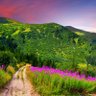 Фото профиля Robert Mertens