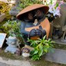 Фото профиля やまなし&たにと