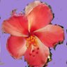 BHARTIYA's profile picture