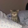 🦋🍉~ñaña~🍉🦋 profil fotoğrafı