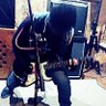 Warchestャ's profile picture