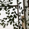 🌿's profile picture