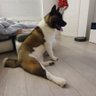 C.G.Demir profil fotoğrafı