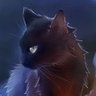 NightWarrior's profile picture
