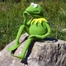 Random Muppet's profile picture