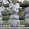 Profilbild von 🐰ウサコ🐰