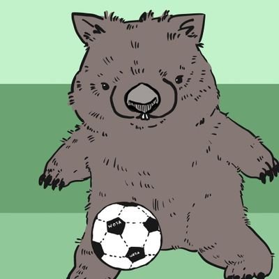 Kotaro 🐨有袋類研究🦘's profile picture