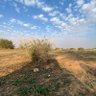 Фото профиля عبدالاله اليوسف🇸🇦