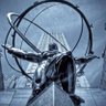 Allen Shrugged's profile picture