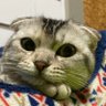 たけひこ 的头像
