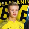 Erling Haaland's profile picture