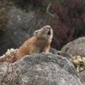 蘷蟒1 profil fotoğrafı