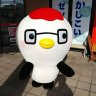 とと's profile picture