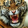 Фото профиля salvador torres