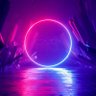 Xeno's profile picture