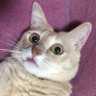 Profilbild von うにうに