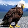 Ismail Kamel profil fotoğrafı