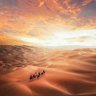 Фото профиля Muhammad Abu Rashed