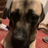 HBBS profil fotoğrafı