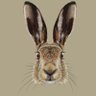 Mijnnaamishaas's profile picture