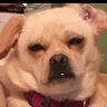 C-Buck's profile picture