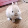 N eimi 的头像