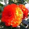 Greenlabel_sideB's profile picture