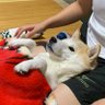 のりたま profil fotoğrafı