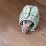Фото профиля ななころび