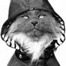 Suara Rakyat profil fotoğrafı