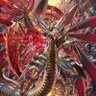 Фото профиля コクロウ