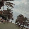 ريما's profile picture