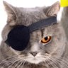 Profilbild von M.M