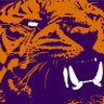 Фото профиля ChapinTigerFan