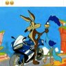 Luisvidalk profil fotoğrafı