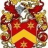 Adamshortss 🇺🇦 🇵🇸 🇺🇳 🇺🇸 🇪🇺 🇬🇧's profile picture
