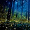 Фото профиля Abnoba
