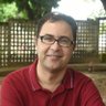 Paulo Pellegrini's profile picture