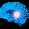 Фото профиля Pineal Gland