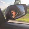 Damián♕ profil fotoğrafı