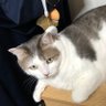 ジェロム profil fotoğrafı
