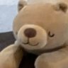 くま's profile picture
