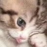 Profilbild von bstdms