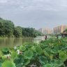 roy 的头像