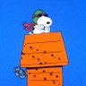 Patrick O’Blivion's profile picture