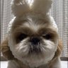 もーちまちゃん's profile picture