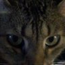 guenni-privates 📯's profile picture