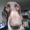 Marc G's profile picture