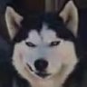 Profilbild von lovb
