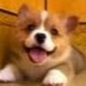 PaeZ's profile picture